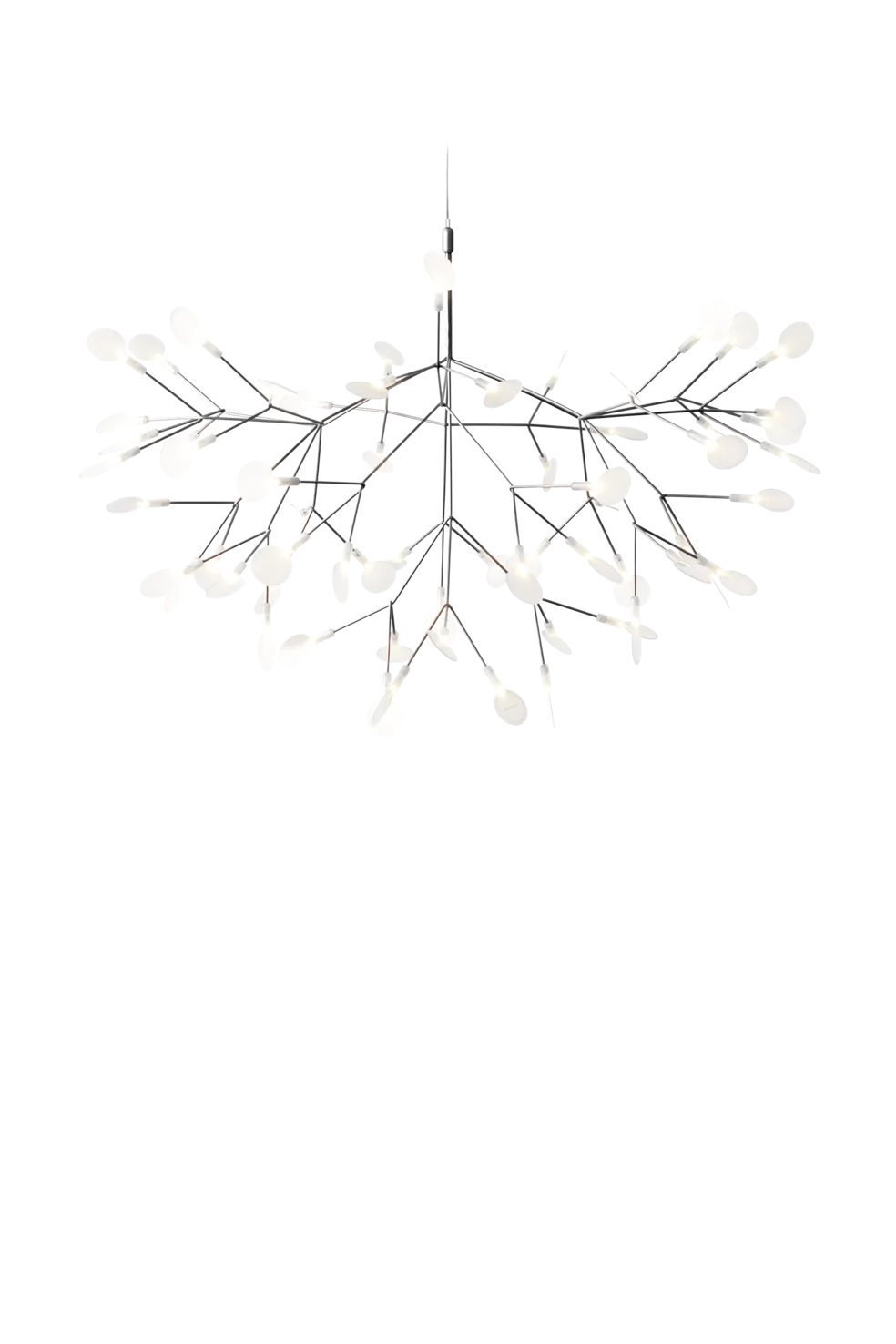 Front view Heracleum Suspended Nickel